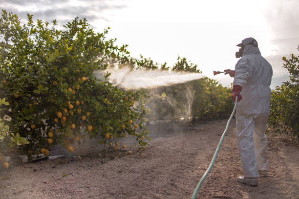 Best Pest Removal Services  in Bradley, IL