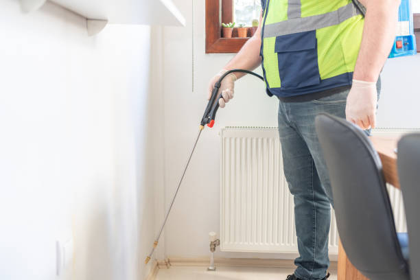 Best Ant Control Services  in Bradley, IL
