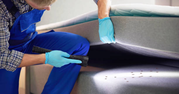 Best Affordable Pest Control Services  in Bradley, IL