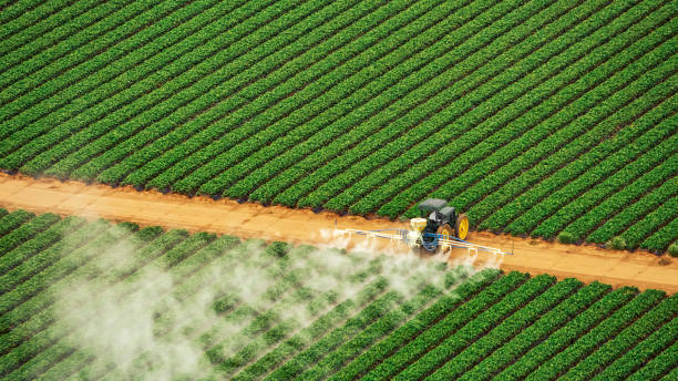 Best Ant Control Services  in Bradley, IL