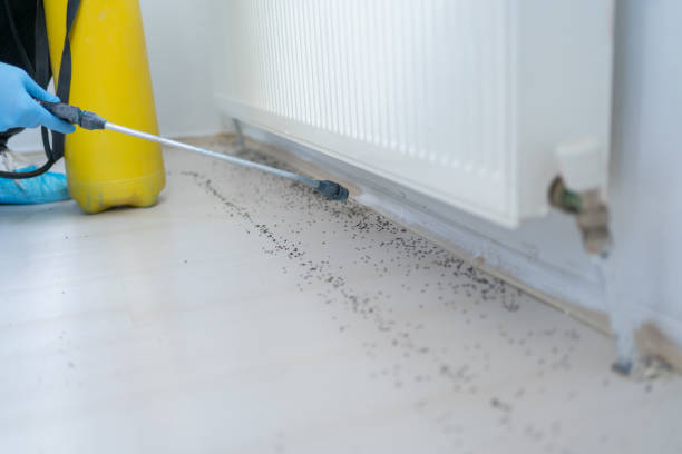 Best Pest Control Near Me  in Bradley, IL
